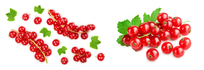 Red currant berry with leaf isolated on white background. Top view. Flat lay pattern