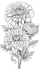 Cute Aster flower in coloring page style illustration. Line art painting. Generative AI