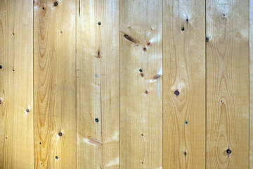 The natural wood texture. Background.