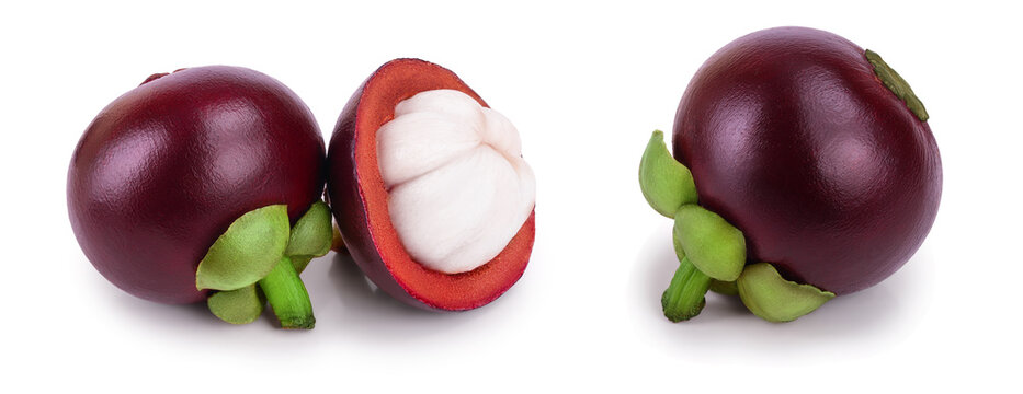 Garcinia Bilder Durchsuchen 7,523 Archivfotos, und