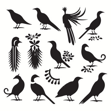 Quetzal silhouettes and icons. Black flat color simple elegant Quetzal animal vector and illustration.