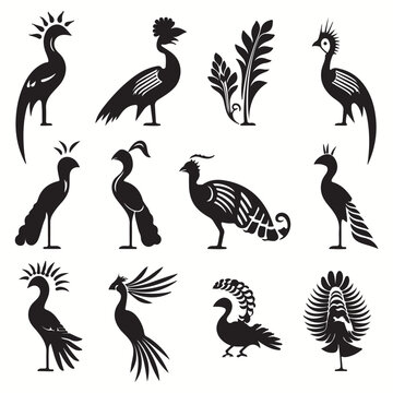 Quetzal silhouettes and icons. Black flat color simple elegant Quetzal animal vector and illustration.