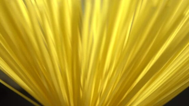 Top view A pack of uncooked spaghetti abstract background of spaghetti pasta rotating close up