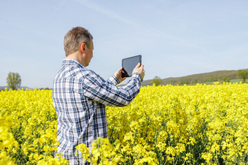 Close-up of a male farmer or agronomist standing in a field of blooming rape and talking on a...