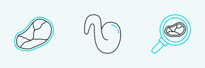 Set line Steak meat in frying pan, and Fried chicken wing icon. Vector