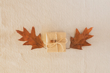 Autumn composition in the center, a gift wrapped in kraft paper with autumn dry leaves like wings...