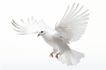 Experience the thrill of the chase as a white bird soars through the sky, its wings spread wide as it hunts for prey in the wild. AI Generative.