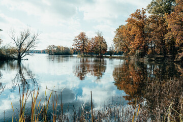 Autumn leaves surround a midwestern lake