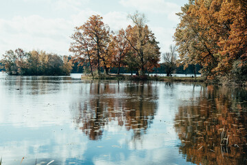 Autumn leaves surround a midwestern lake
