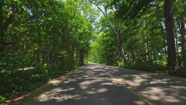 Point Pelee Drive. POV back car view. Driving view, road behind car in the tunnel of green summer trees. Green arch of greenery during driving in summer vacation adventure at Point Pelee National Park