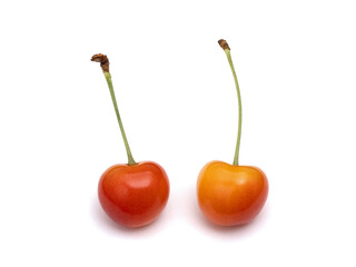 サクランボ　紅秀峰