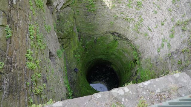 Pigeons fly around inside of a deep mossy well at Conwy castle, on a spring afternoon, in Conwy, Wales, UK