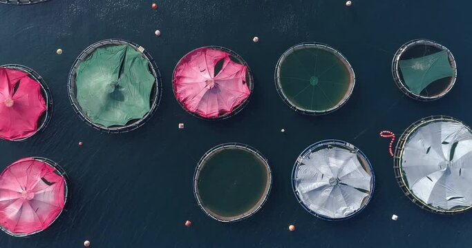 Aerial view of fish farm in argolic gulf / Greece 