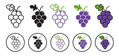 Grapes vector icon set. simple grapes bunch line symbol. fresh purple grapes fruit pictogram. suitable for mobile app, and website UI design.