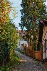 Park and Old Fachwerk houses in Germany. Scenic view of ancient medieval urban street architecture with half-timbered houses in the Old Town of Germany.