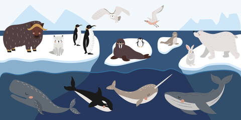 Vector set of wild polar animals, marine mammals and birds. Collection of Arctic animals on ice floes. Whale, narwhal, walrus,polar owl, polar bear, penguins.Colorful vector illustration in flat style © Hanna Bykova