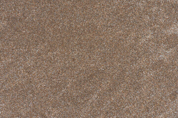 Background or texture of wet beach sand