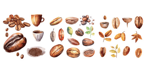 watercolor Coffee Bean clipart for graphic resources