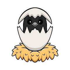Obraz premium Cute baltimore oriole bird cartoon inside from egg