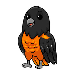 Cute baltimore oriole bird cartoon