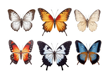 Collection of Butterfly Wings. isolated object, transparent background