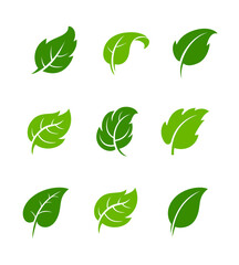 Set of green leaf ecology icon, leaf isolated on transparent background. Environment and Nature Symbol, Vector illustration. - obrazy, fototapety, plakaty