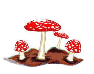 red mushroom with white spots, (Amanita muscaria)poisonous mushroom