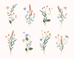 wildflower watercolor bouquet collection - obrazy, fototapety, plakaty