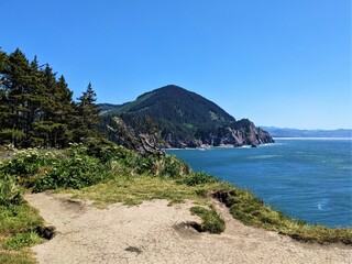 Tree covered mountain by the ocean with trail in foreground. 