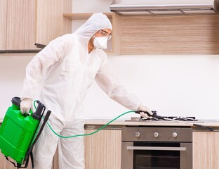 Professional contractor doing pest control at kitchen