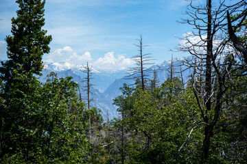Sierra Nevada Mountains, California, USA.