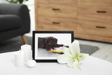 Pet funeral. Frame with picture of dog, burning candles and lily flower on white table indoors