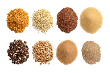 Collection of Grains. isolated object, transparent background