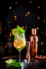 Hugo spritz alcoholic cocktail drink with dry sparkling wine or prosecco, elderflower syrup, soda,...