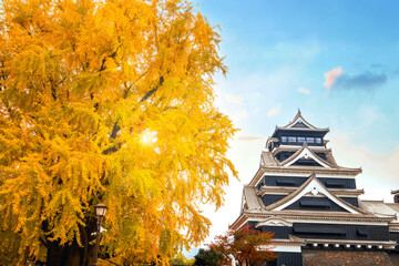 Kumamoto, Japan - Nov 23 2022: Kumamoto Castle's history dates to 1467. In 2006, Kumamoto Castle...