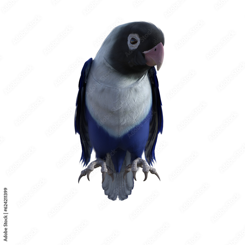 Wall mural parrot isolated on white