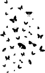 Isolated flying butterflies poster, black butterfly icons. Decorative fly insects print graphic design. Flat elements wildlife nowaday vector background