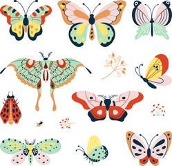 Fototapeta na wymiar Isolated flat decorative butterflies. Types butterfly and insects, nature graphic elements. Colorful doodle moth, seasonal nowaday vector collection