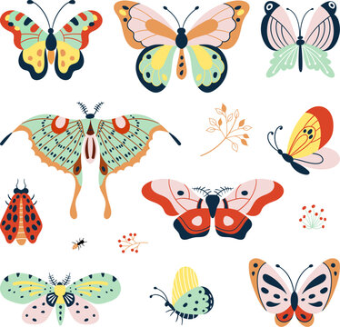 Isolated flat decorative butterflies. Types butterfly and insects, nature graphic elements. Colorful doodle moth, seasonal nowaday vector collection