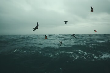 Fototapeta na wymiar Seagulls flying in the stormy sea