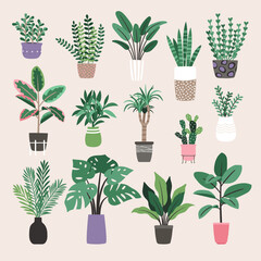 Houseplants in trendy hygge style. Collection of Home plants in flower pots. Urban jungle decor set . Evergreen plants in planters