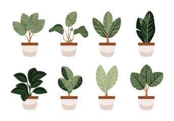 Fototapeta na wymiar Set of potted plants vector set in flat cartoon style