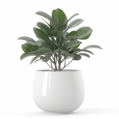 Simplicity meets sophistication with this green plant in a sleek white planter. A beautiful addition to any minimalist or contemporary home. AI Generative.