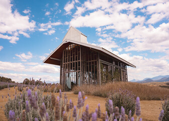 Kooroomba Lavender Farm, Gold Coast, Queensland