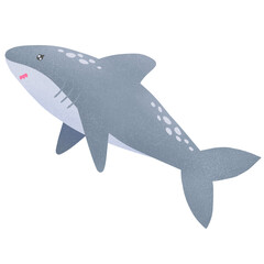 Fototapeta premium shark illustration