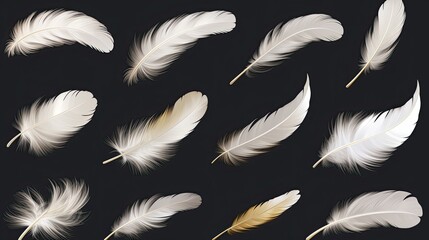 Obraz premium Clipart Bird Detailed Feather in Various Shapes on black background