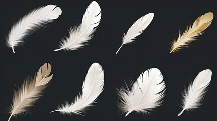 Obraz premium Clipart Bird Detailed Feather in Various Shapes on black background
