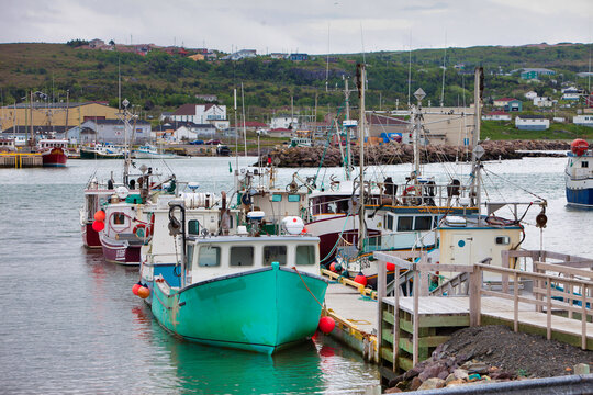 Fishing boats in the protected harbour in the Avalon Penisula