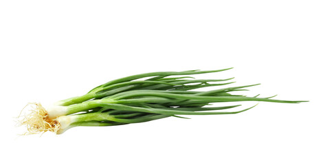 fresh Spring Onion on transparent png