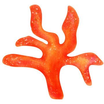 beautiful orange coral pattern white background